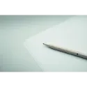 Parure de stylos écologique en paille de blé – Stylo encre bleue et graphite sans encre